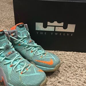 Lebron 12s